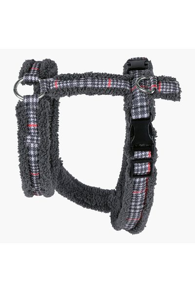 Home Box Canine Regal Harness - Medium