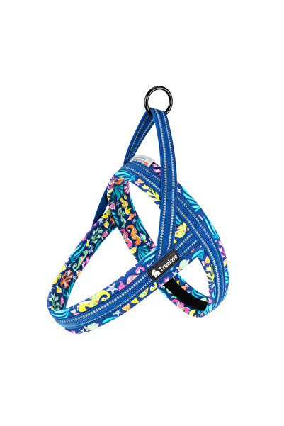 True Love Ocean Mavi Köpek Göğüs Tasması