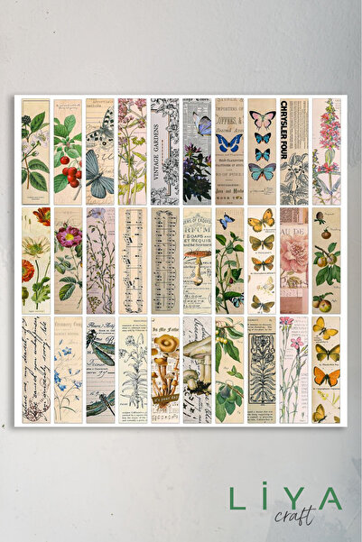 LiyaCraft Pul Temalı Sticker Planner Ajanda Bullet Journal Için Uygun Set