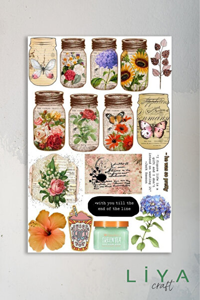 LiyaCraft Pul Temalı Sticker Planner Ajanda Bullet Journal Için Uygun Set