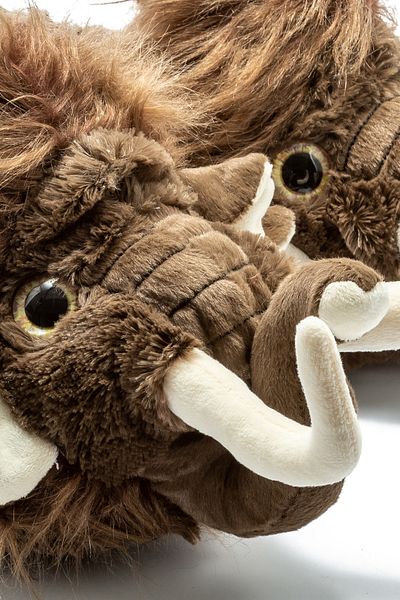 Twigy Παντόφλες Animal Unisex Mammoth Καφέ 39/43