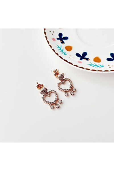 Boise Atelier Selen Steel Earring |   Steel Earrings