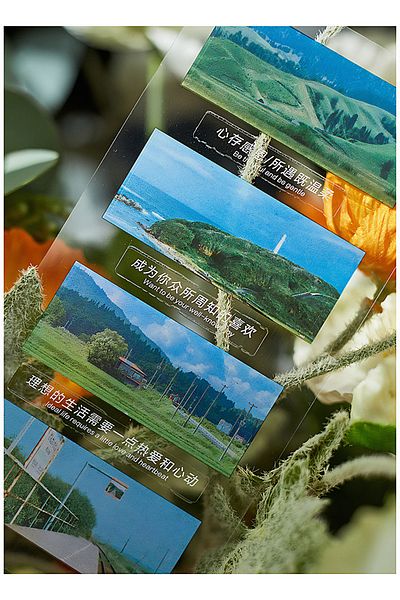 GUGUK 5 Different Design Grass Nature Themed Pet Index Sticker - Post-It Sticky Note