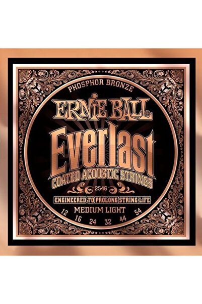 Ernie Ball P02546 Everlast Acoustic Guitar String (MediumLight)