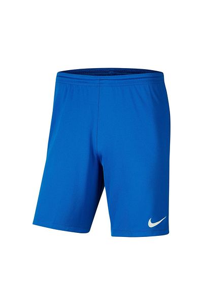 Nike Park Iii Kids Blue Shorts