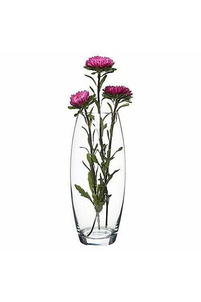 Paşabahçe Pasabahce Botanica glass vase, 26 cm