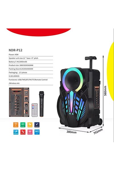 SIGHTZER 12 İNÇ KABLOSUZ MİKROFONLU BÜYÜK BOY TEKERLEKLİ HOPARLÖR BLUETOOTH SPEAKER