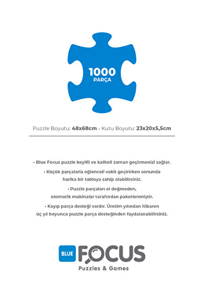 Blue Focus 2 Adet 1000 Parça Puzzle - Kız Kulesi ve İstanbul Boğazı