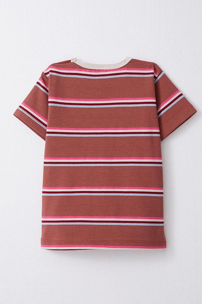 Breeze 1-4 Years Girl's T-Shirt - Placket Striped, Brick Color