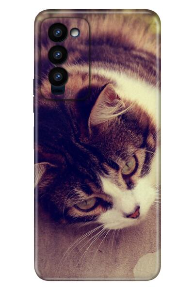 TECNO Camon 18 Kılıf Colored Resimli Silikon Tekir Kedi