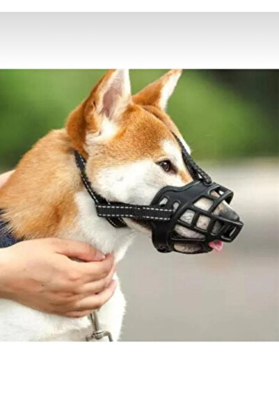 vet advice Köpek Ağızlığı Sağlam Koruma Ağızlığı 3 Numara Pitbull Vb.