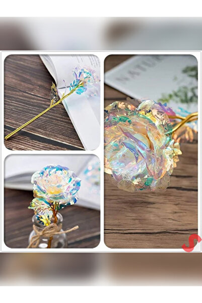 rkm store Sonsuzluk Gülü Hediyelik Gül Ev Dekor  Sevgiliye Hediye Anneler Günü Hediyesi Solmayan Gül