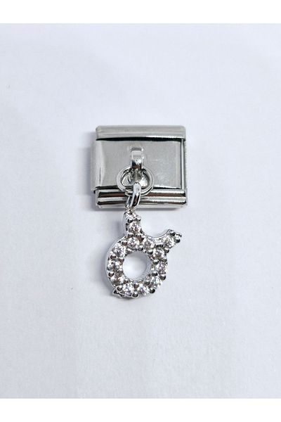 RoseCo00 Taurus Italian Bracelet Charm