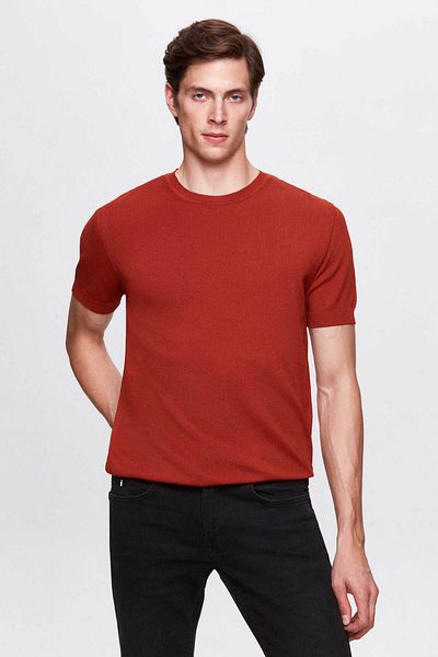 Twn Πλεκτό T-shirt από ρεγιόν σε χρώμα τούβλο