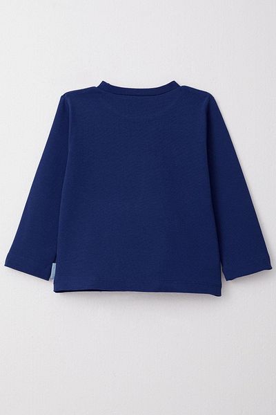 Breeze 1-4 Years Boy Saks Blue Long Sleeve T-Shirt