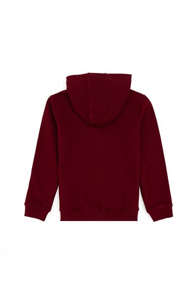 U.S. Polo Assn. Базов суичър с цип в бордо за момче 50289144 -Vr014