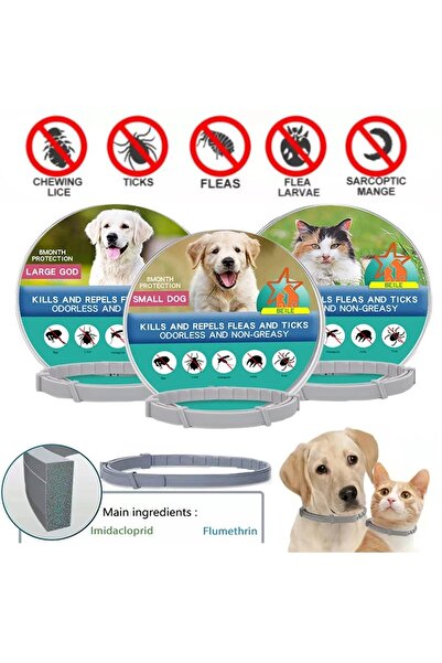 Dream Plus Köpek Anti Pire Kene Önleyici Tasma- Pire Önleyici Tasma-Kene Önle...