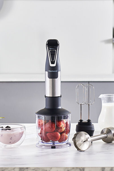 HOMEND Handmaid 1965h Inox Çelik Bıçaklı Blender Set