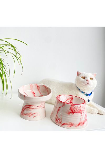 stilinbu Set of 2 Ceramic Cat and Dog Food Water Bowl - Red, White and Colorful Moon Striped - Marbling Pattern