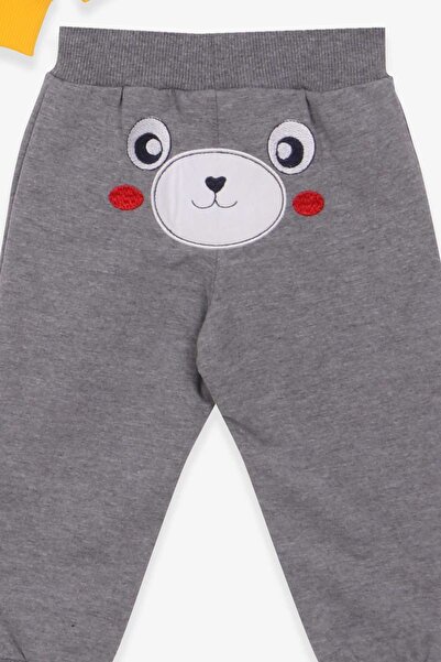 Breeze 9-3 Years Old Baby Boy Tracksuit Set - Teddy Bear and Embroidered, Yellow