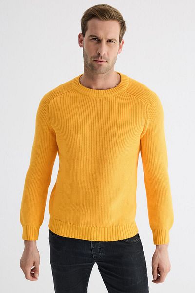odelon Men's Crew Neck Thessaloniki Knitted Cotton Knitwear Sweater Yellow