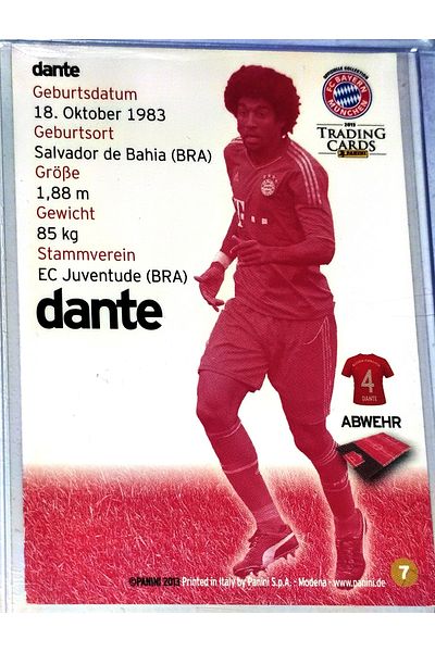 Panini Dante 2013 Special Edition Card