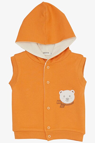 Breeze Baby Boy Bodysuit 3 Piece Set Cute Teddy Bear Embroidered Hooded 4 Months-1 Year Old, Orange