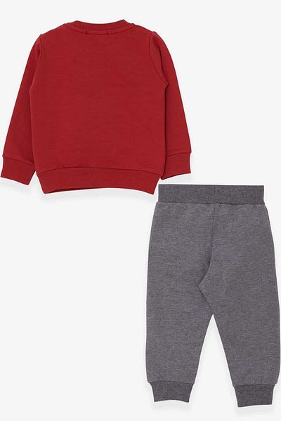 Breeze Boy's Tracksuit Set with Teddy Bear Figure, Age 1-4, Tile