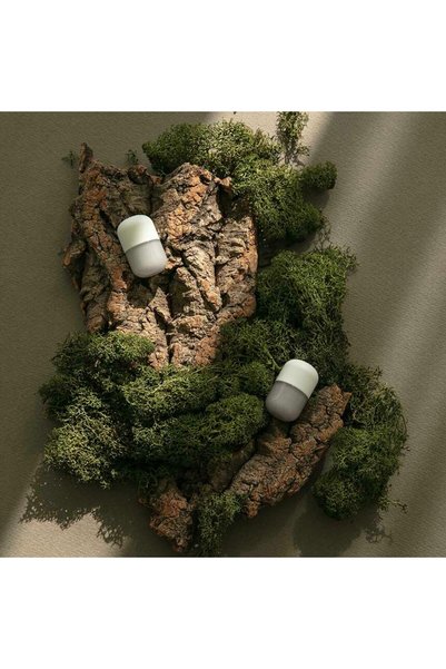 H201 SHIFT Sedir Ağacı Yosunu Aromalı Duş Terapi Kapsülü - 2'li Set