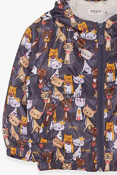 Breeze 1-6 Years Old Girl's Smoked Raincoat with Kitten Pattern