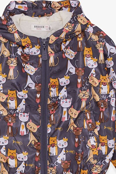 Breeze 1-6 Years Old Girl's Smoked Raincoat with Kitten Pattern