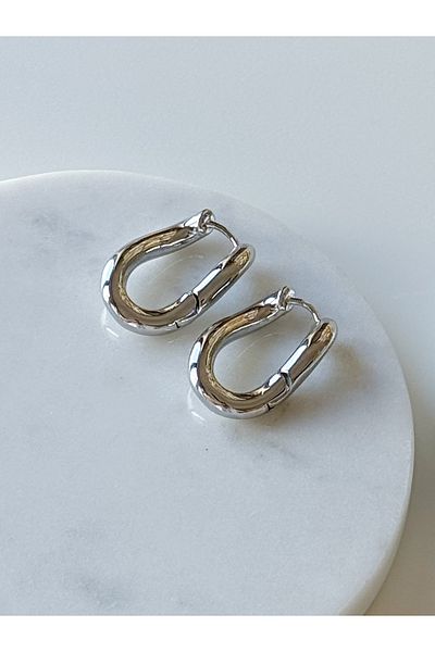CHARMLUCKY Steel Curly Ring Earring
