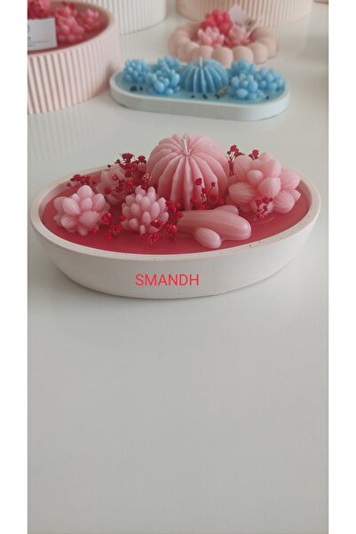 Beton saksı da Pembe Kaktüs Hediyelik Mum (17cm*5cm)