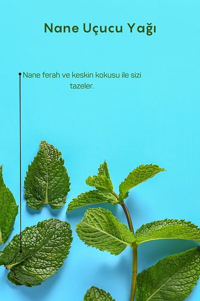 Gülhanya Aromaterapi 10ml English Mint Essential Oil