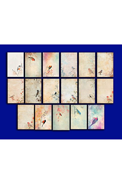 TELLGRAF مجموعة بطاقات بريدية تحت عنوان الطيور (10x15 سم 17 قطعة)