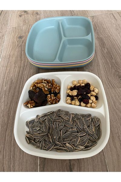 HOLLYHOME 1 Piece 3 Compartment Plastic Breakfast Plate - Picnic Camping Cookie Food Serving Plate Table