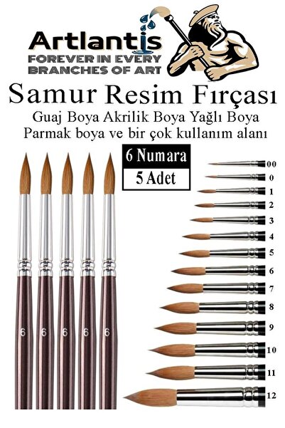 Artlantis Resim Fırçası 6 Numara 5 li 1 Paket Samur Yuvarlak Uçlu Fırça Seti ...