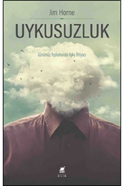 Ayrıntı Yayınları Uykusuzluk