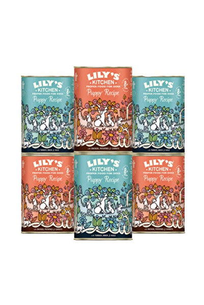 Lily's Kitchen مجموعة طعام رطب للكلاب والجراء - 6 × 400 جرام