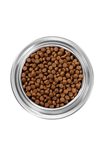 INSTINCT طعام الكلاب الجاف بي ناتشرال كيبل بلحم البقر والشعير - 25 رطلاً