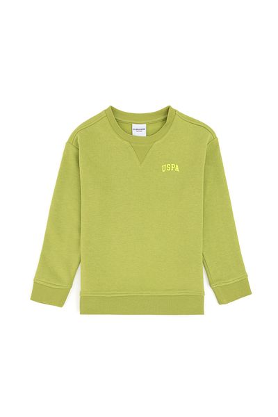 U.S. Polo Assn. Boy's Peanut Green Basic Crew Neck Sweatshirt 50295151 -Vr087