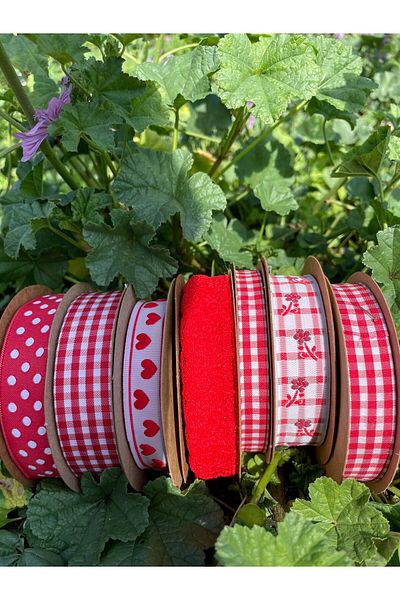 FANTASTIC KURDELE Red Combination Ribbon Set - Plaid, Lace, Polka Dot and Patterned