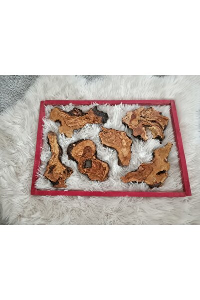 Canlı Kenar Vernikli Zeytin Ağacı Tahta Seti 16LI SET Parça Kendin Yap ve Epoksi için