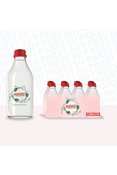 Hayat Su Cam Şişe 24x033 ml