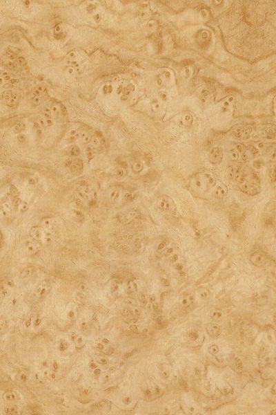 Ecce Patterned Self Adhesive Coating Foil 45 Cm X 2 Mt Dsn0114-2