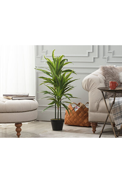 Madame Coco Jonquille Saksılı Bitki