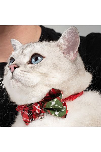 Patipatron New Year Cat Collar with Adjustable Bow Tie New Year Special (CINCHINLI)
