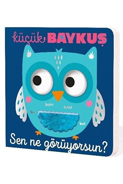 İndigo Çocuk Küçük Baykuş Sen Ne Görüyorsun (Ciltli)