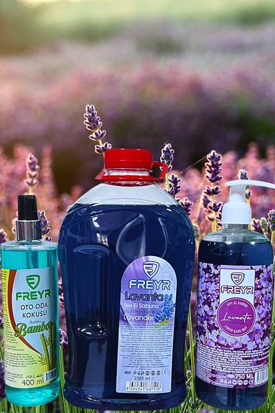 FREYR 2500Ml-750Ml Moisturizing Liquid Hand Soap - Extra Lavender Perfumed, 400ml Room Fragrance