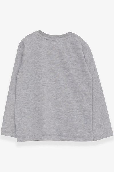 Breeze Baby Boy Long Sleeve T-Shirt with Dinosaur Embroidery, 9 Months-3 Years, Gray Melange